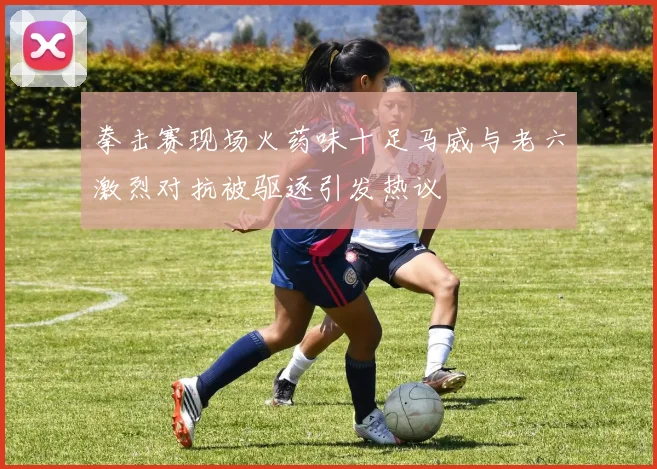 拳击赛现场火药味十足马威与老六激烈对抗被驱逐引发热议