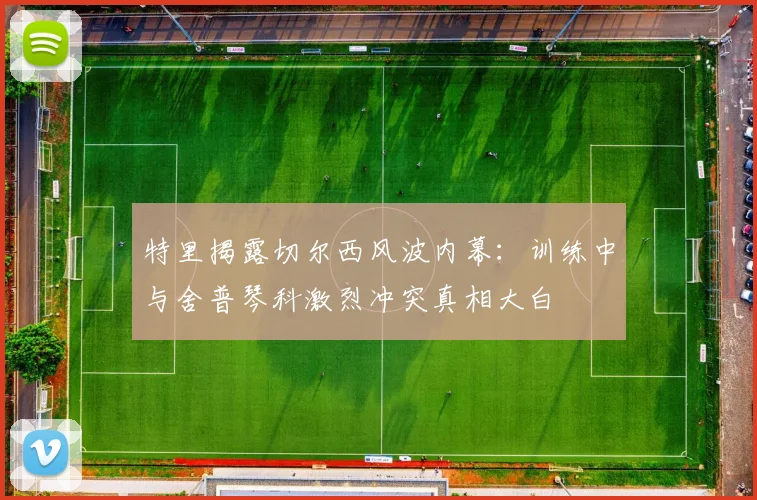 特里揭露切尔西风波内幕：训练中与舍普琴科激烈冲突真相大白