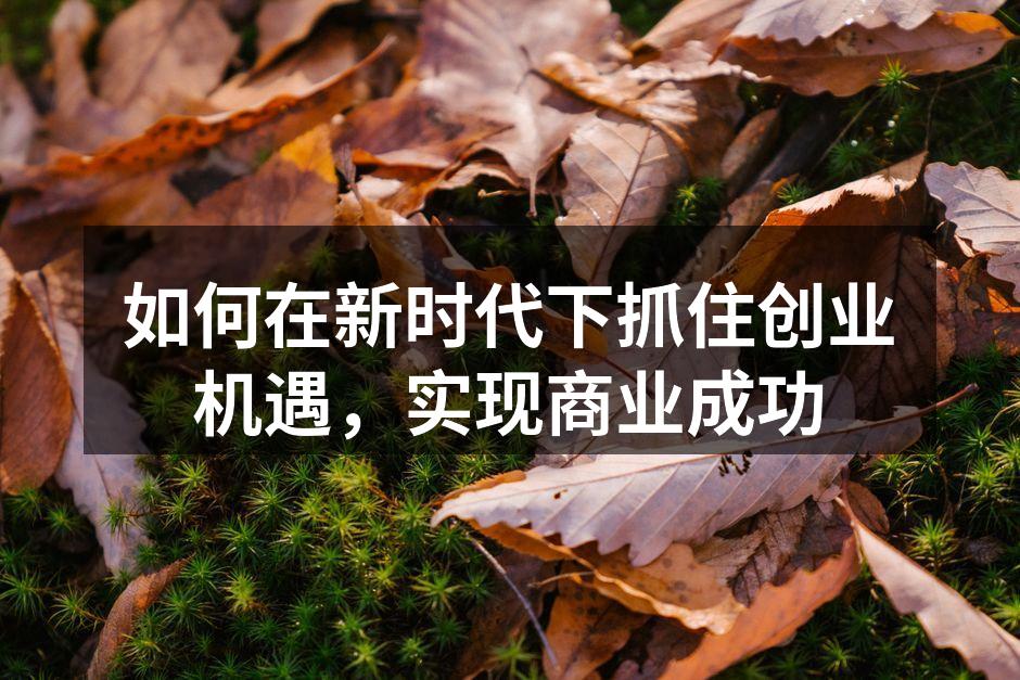 如何在新时代下抓住创业机遇，实现商业成功