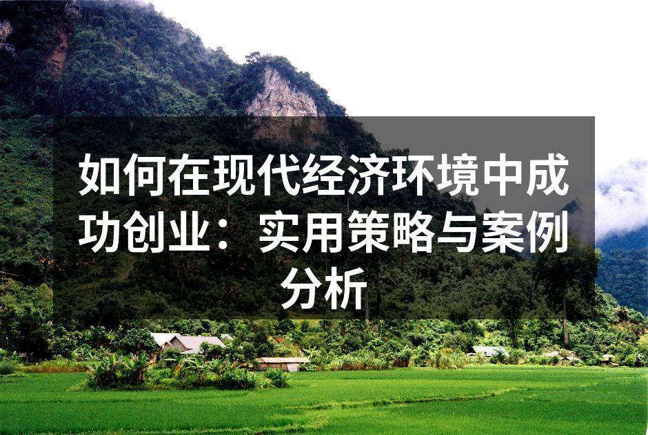 如何在现代经济环境中成功创业：实用策略与案例分析