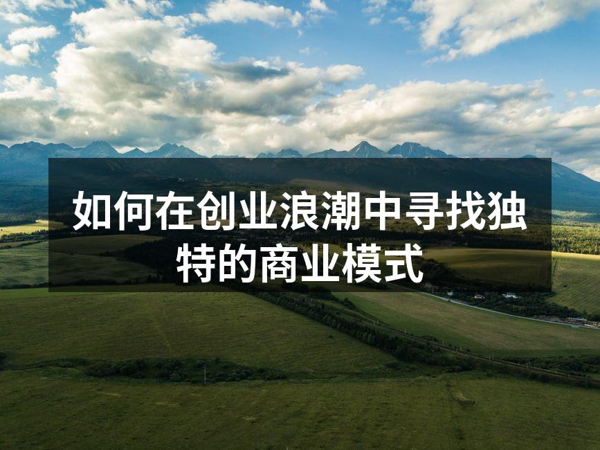 如何在创业浪潮中寻找独特的商业模式